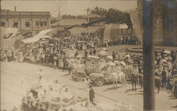 Rose Parade Rose Parade
