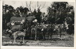 Orville Ewing Pritchett, CO Postcard Postcard Postcard