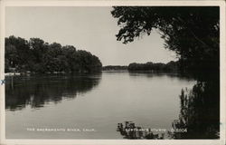 Sacramento River California Postcard Postcard Postcard