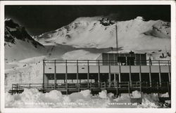 Mt. Shasta Ski Bowl Mount Shasta, CA Postcard Postcard Postcard