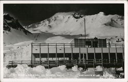 Mt. Shasta Ski Bowl Postcard