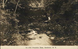 Old Foundry Dam Postcard