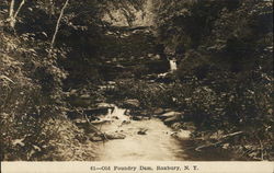 Old Foundry Dam Roxbury, NY Postcard Postcard Postcard