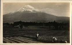 View of Mount Fuji From Field Postcard