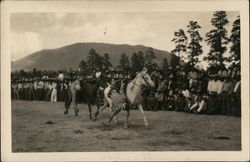 Horse Races Postcard