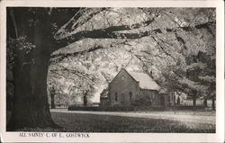 All Saints' Church of England Gostwyck, NSW Australia Postcard Postcard Postcard