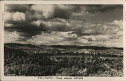 Wellington From Mount Arthur Postcard