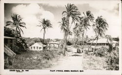 Palm Avenue, Eimeo Postcard