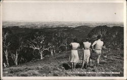 Panorama from Mt. Conobolas Orange, NSW Australia Postcard Postcard Postcard