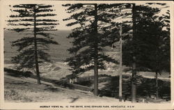 Murray Views No. 42. The Drive, King Edward Park Newcastle, NSW Australia Postcard Postcard Postcard