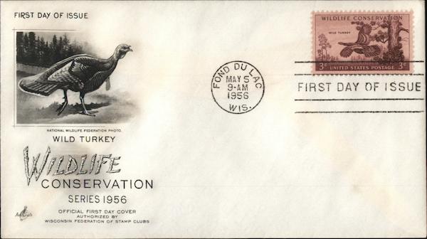 Wildlife Conservation Series - Wild Turkey - National Wildlife Federation Photo