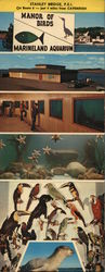 Marineland Aquarium and Manor of Birds Large Format Postcard