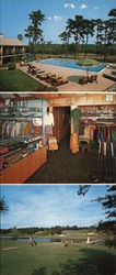 Blue Rock Motor Inn Large Format Postcard
