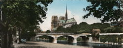 Notre Dame Cathedral Large Format Postcard