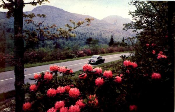 Hood Canal Washington