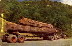 Log Truck Trucks Postcard Postcard
