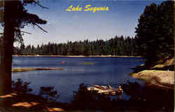 Lake Sequoia Postcard