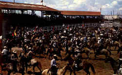 Friendly Greetings From Cowtown Fort Worth, TX Postcard Postcard