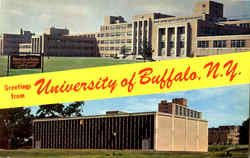 Greetings From University Of Buffalo Postcard