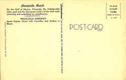 back