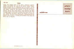 back