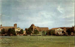 U. C. L. A. The University Of California Postcard