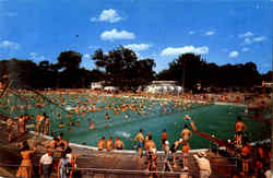 The Municipal Swimming Pool Postcard