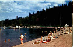 Twanoh State Park On Hood Canal Postcard