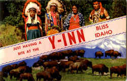 Just Having A Bite At The Y-Inn Postcard