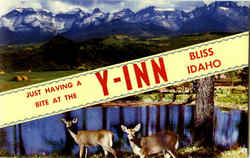 Just Having A Bite At The Y-Inn Postcard