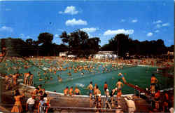 The Municipal Swimming Pool Postcard