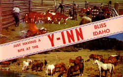 Just Having A Bite At The Y-Inn Bliss, ID Postcard Postcard