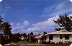 Residential View On Man-Made Davis Islands Postcard