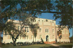 Court House San Patricio County Postcard