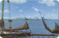 Skyline Of Miami Florida Postcard Postcard