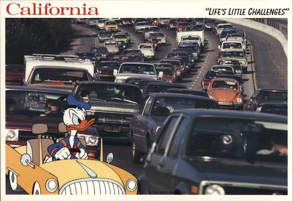 California - Life's Little Challanges