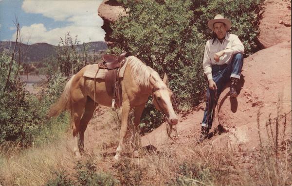A Pause Along the Trail Horses