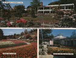 Patricia Murphy's Candlelight Restaurants Westchester, NY Postcard Large Format Postcard Large Format Postcard