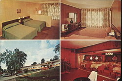 Senator Motel Large Format Postcard