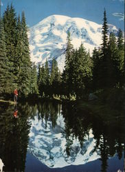 Fairy Pool - Mt. Rainier National Park, Washington State Mount Rainier National Park Postcard Large Format Postcard Large Format Postcard