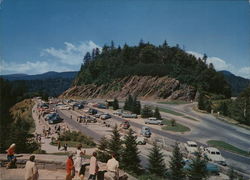 Newfound Gap Parking Area Great Smoky Mountains National Park, TN Postcard Large Format Postcard Large Format Postcard