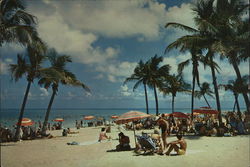 A Lovely Florida Beach Large Format Postcard