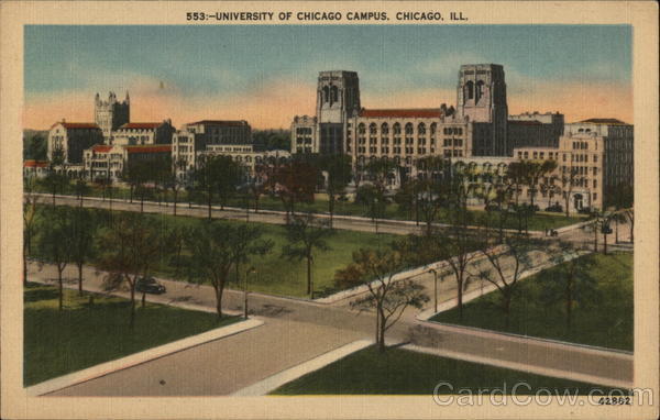 University of Chicago Campus Illinois