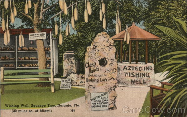 Wishing Well and Sausage Tree Naranja Florida