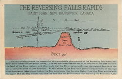 Cross Section of The Reversing Falls Rapids Postcard