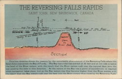 Cross Section of The Reversing Falls Rapids Saint John, NB Canada New Brunswick Postcard Postcard Postcard