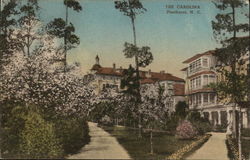 The Carolina Postcard