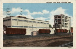 Lexington Flour Mills Nebraska Postcard Postcard Postcard