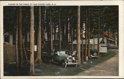 Cabins in the Pines Postcard