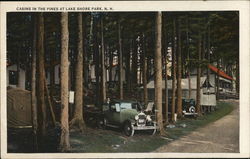 Cabins in the Pines Lake Shore Park, NH Postcard Postcard Postcard